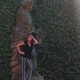 Lidia, 38