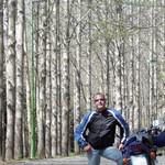 Antonello, 55
