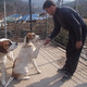 ismail, 54
