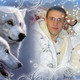 wolf, 43