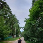 �������, 35