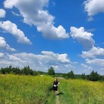 �������, 35
